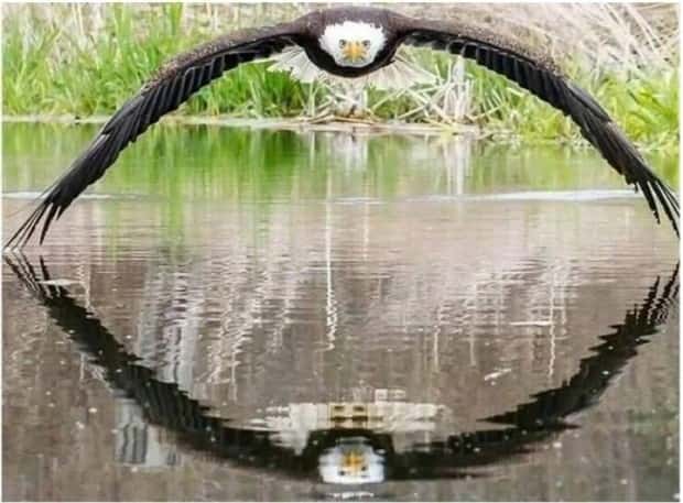 Awesome Pictures You Shouldn’t Miss #138 (27 photos)