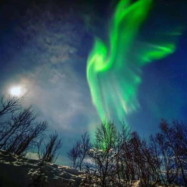 Awesome Pictures You Shouldn’t Miss #139 (22 photos)