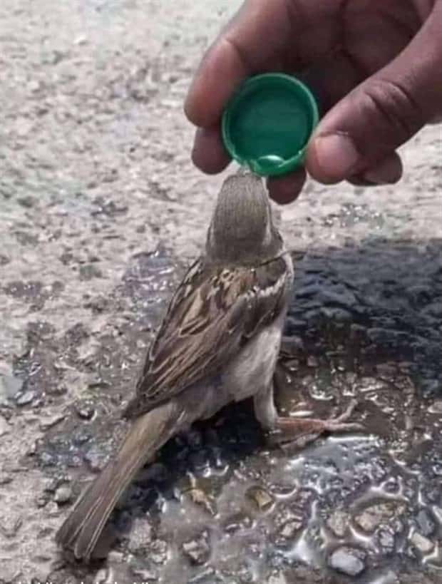 Awesome Pictures You Shouldn’t Miss #139 (22 photos)