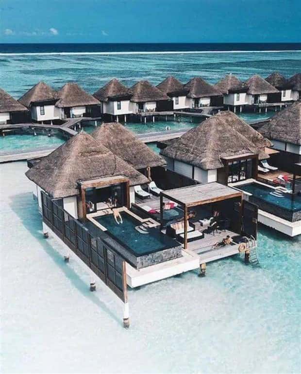 Awesome Pictures You Shouldn’t Miss #141 (24 photos)