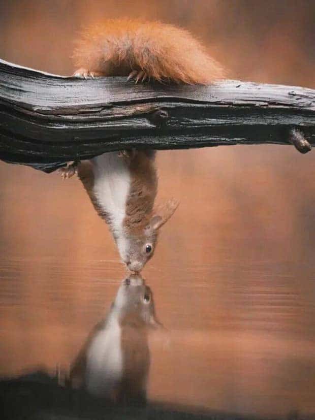 Awesome Pictures You Shouldn’t Miss #138 (27 photos)