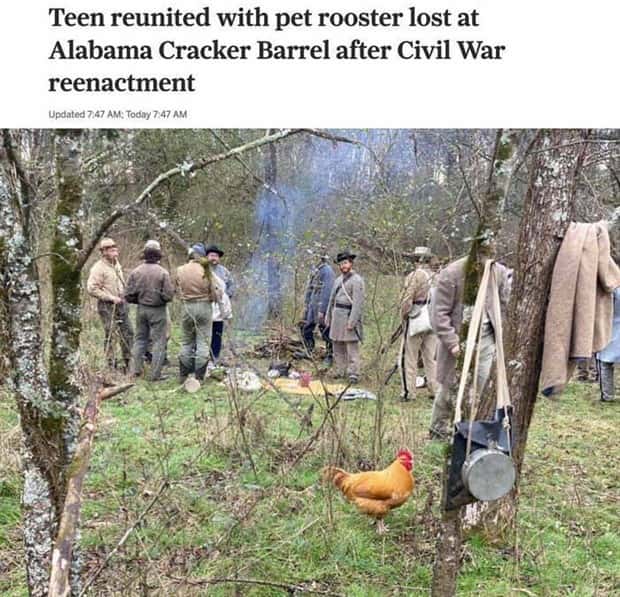 Bizarre Headlines Proving Reality Beats Fiction (40 photos)