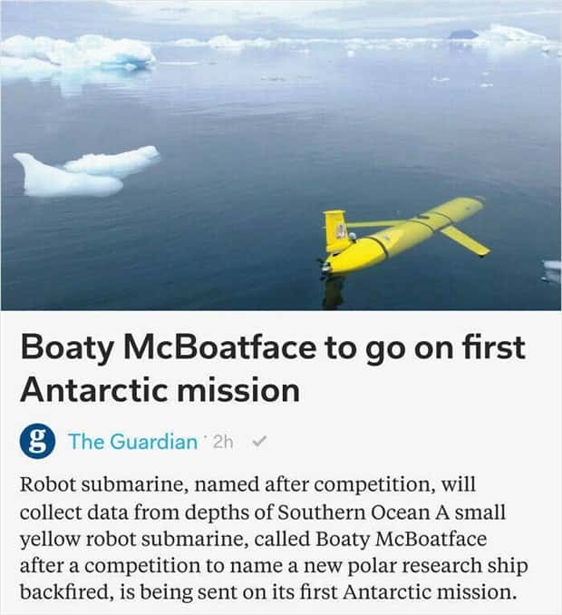 Bizarre Headlines Proving Reality Beats Fiction (40 photos)