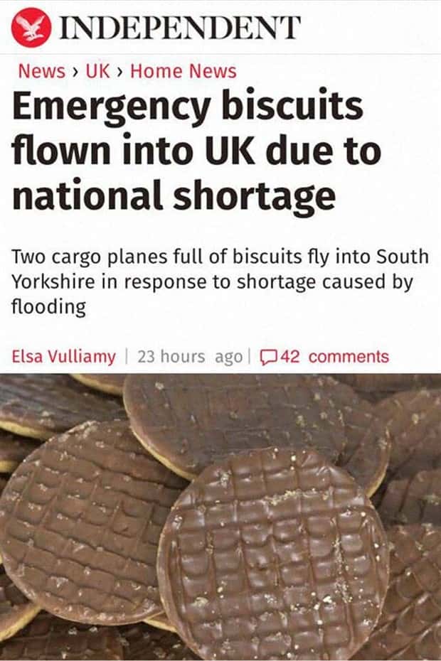 Bizarre Headlines Proving Reality Beats Fiction (40 photos)