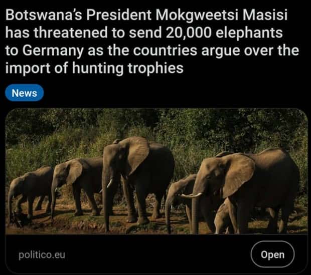 Bizarre Headlines Proving Reality Beats Fiction (40 photos)