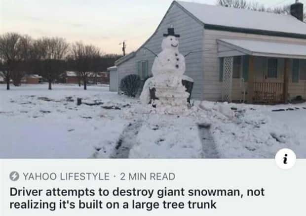 Bizarre Headlines Proving Reality Beats Fiction (40 photos)