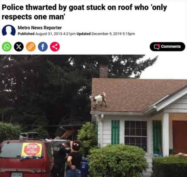 Bizarre Headlines Proving Reality Beats Fiction (40 photos)