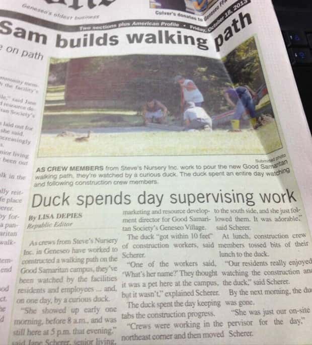 Bizarre Headlines Proving Reality Beats Fiction (40 photos)