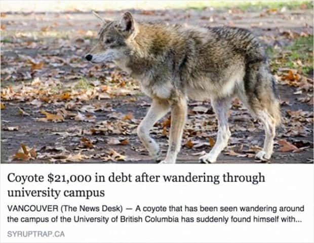 Bizarre Headlines Proving Reality Beats Fiction (40 photos)