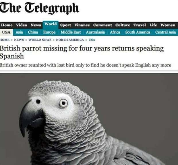 Bizarre Headlines Proving Reality Beats Fiction (40 photos)