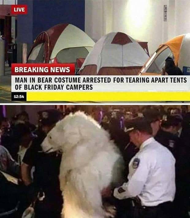 Bizarre Headlines Proving Reality Beats Fiction (40 photos)