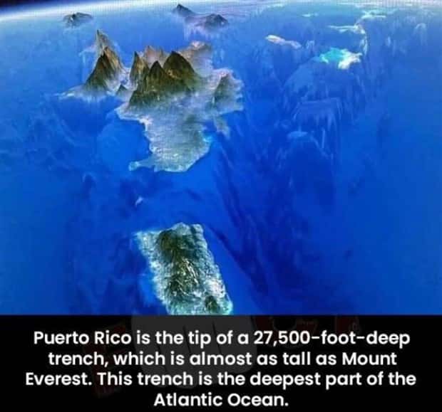 Cool and Interesting Facts #415 (23 photos)