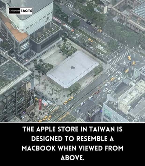 Cool and Interesting Facts #415 (23 photos)