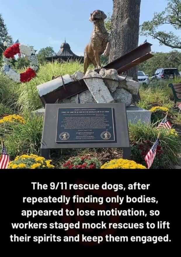 Cool and Interesting Facts #415 (23 photos)