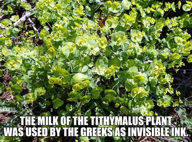 Cool and Interesting Facts #415 (23 photos)