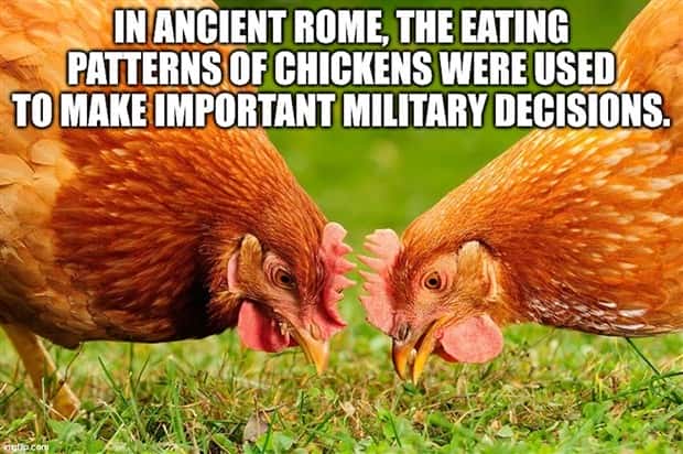 Cool and Interesting Facts #415 (23 photos)