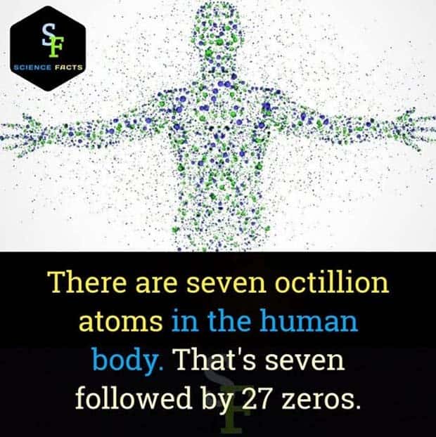 Cool and Interesting Facts #415 (23 photos)