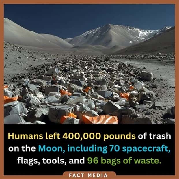 Cool and Interesting Facts #415 (23 photos)