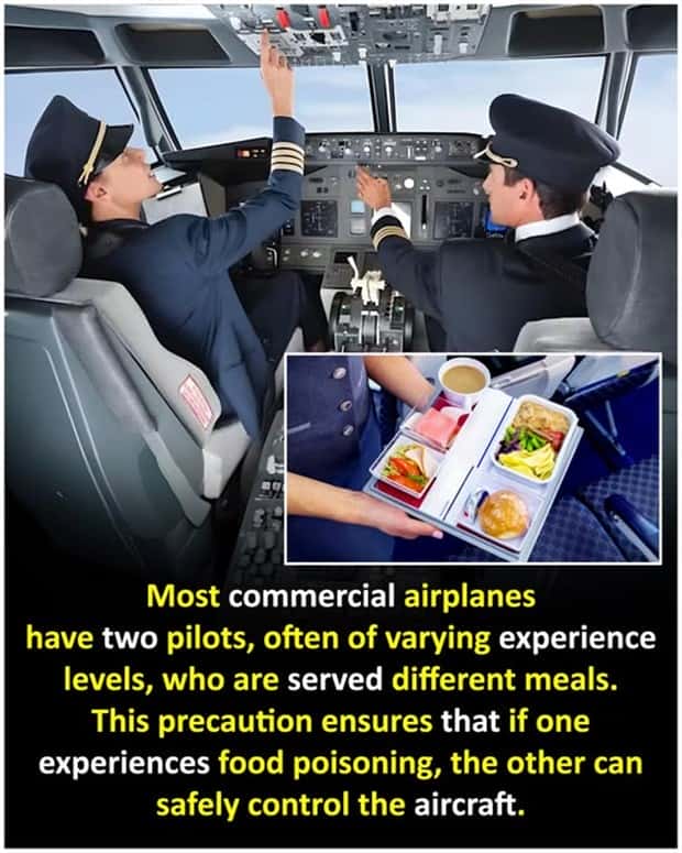 Cool and Interesting Facts #415 (23 photos)