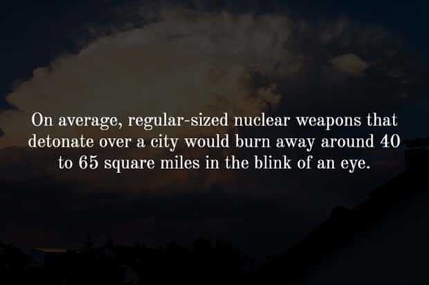 Creepy Facts are Back #12 (17 photos)