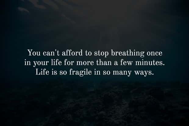 Creepy Facts are Back #12 (17 photos)