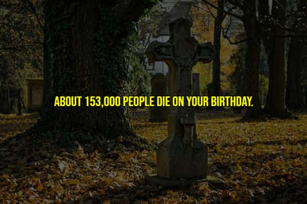 Creepy Facts are Back #12 (17 photos)