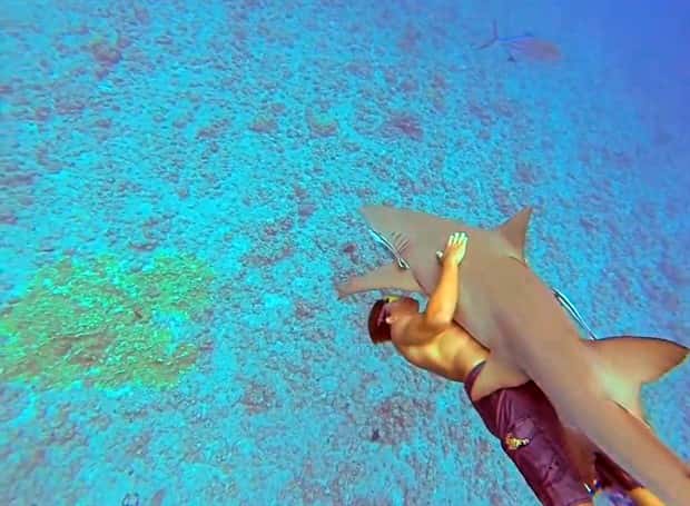 28 Photos of Divers Bonding with Marine Life