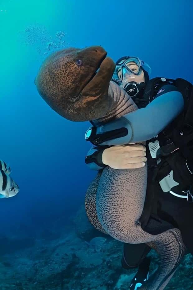 28 Photos of Divers Bonding with Marine Life