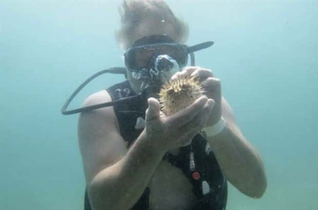 28 Photos of Divers Bonding with Marine Life