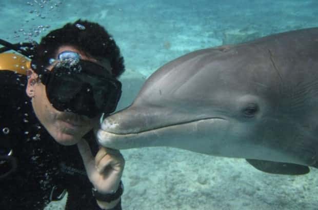 28 Photos of Divers Bonding with Marine Life