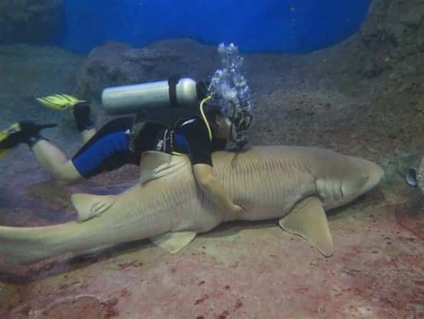 28 Photos of Divers Bonding with Marine Life
