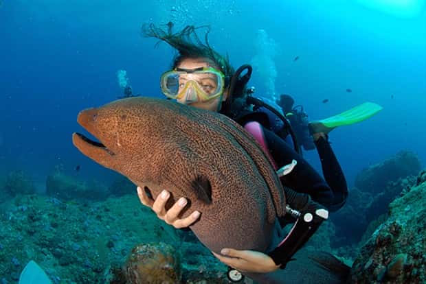 28 Photos of Divers Bonding with Marine Life
