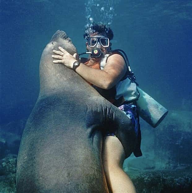 28 Photos of Divers Bonding with Marine Life