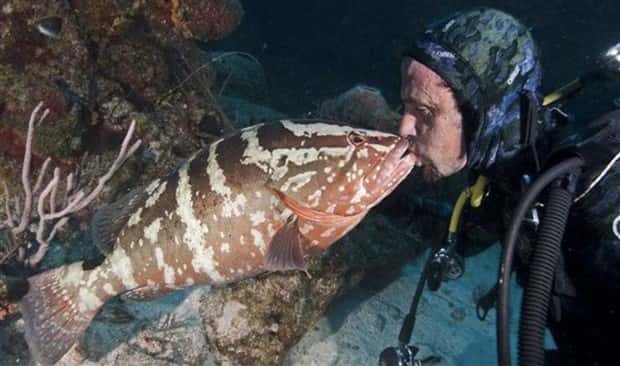 28 Photos of Divers Bonding with Marine Life