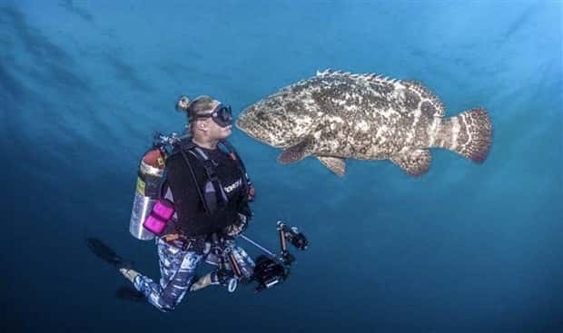 28 Photos of Divers Bonding with Marine Life