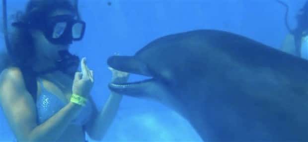 28 Photos of Divers Bonding with Marine Life