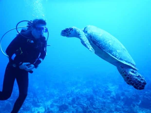 28 Photos of Divers Bonding with Marine Life