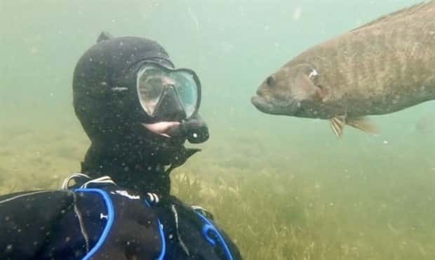 28 Photos of Divers Bonding with Marine Life