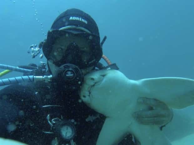 28 Photos of Divers Bonding with Marine Life