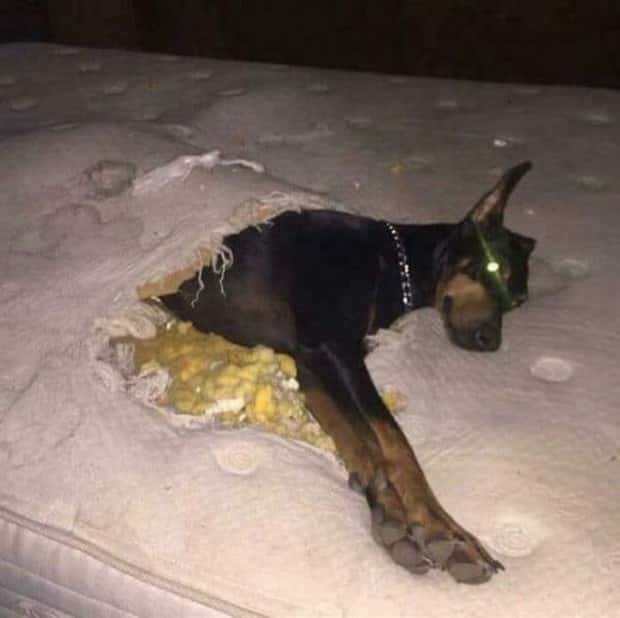 Expensive Fails Everyone Dreads (28 photos)