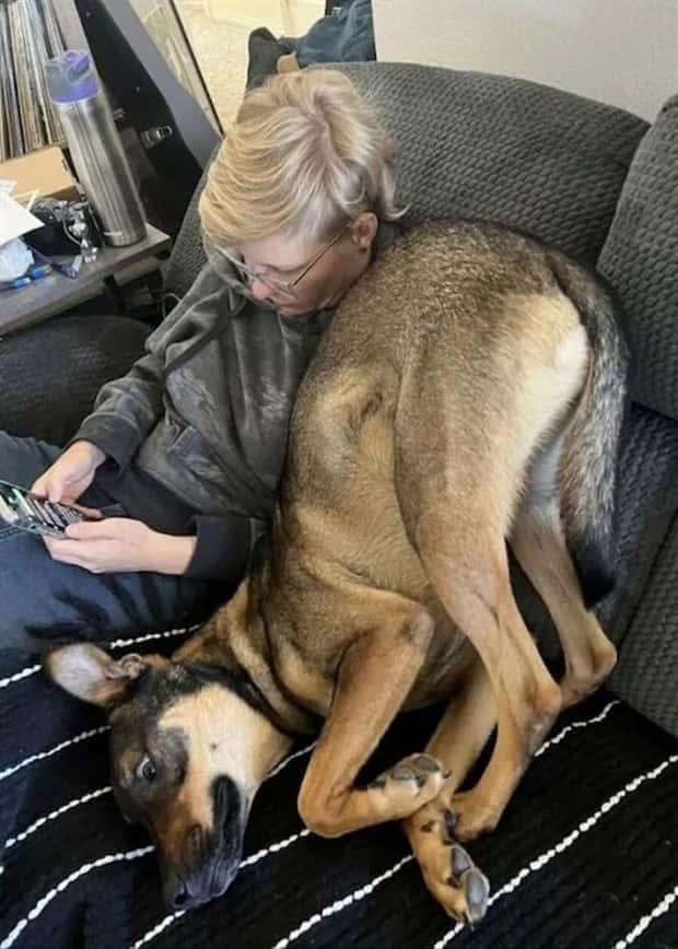 Get Ready for Funny Animals #374 (24 photos)