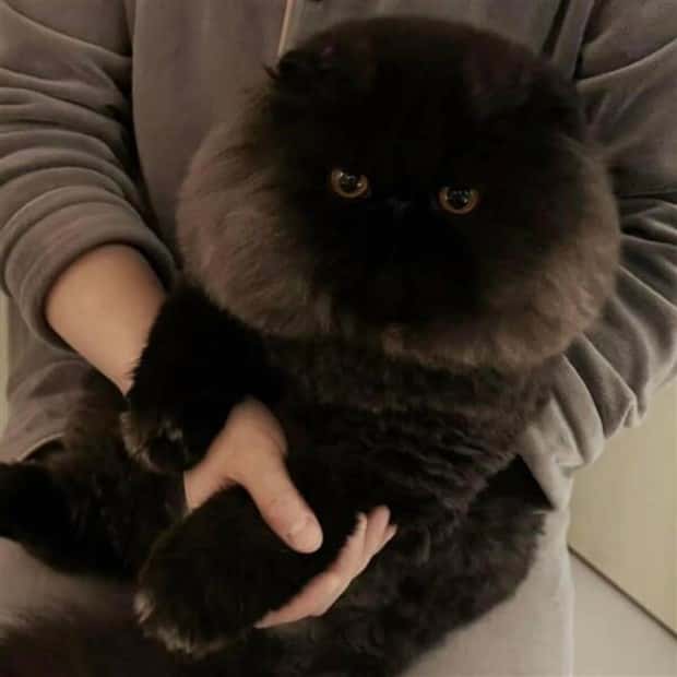 Get Ready for Funny Animals #371 (27 photos)