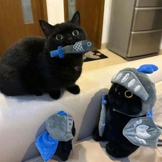 Get Ready for Funny Animals #371 (27 photos)