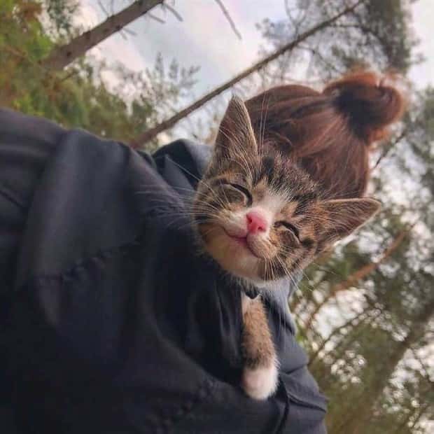 Get Ready for Funny Animals #374 (24 photos)