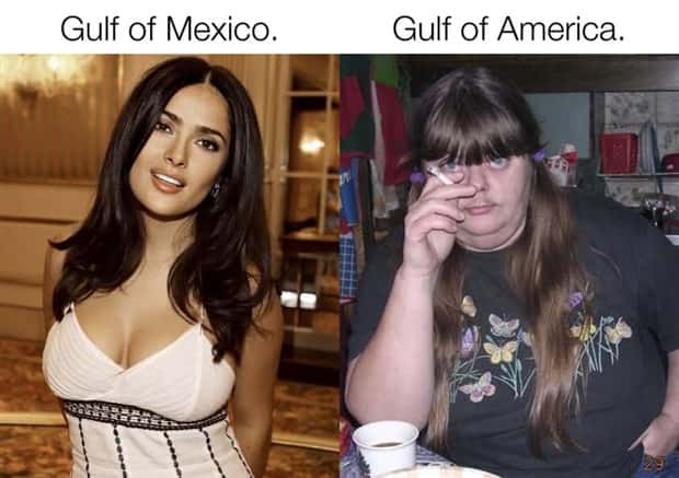 Funny Pics and Memes to Make You Laugh #144 (24 photos)