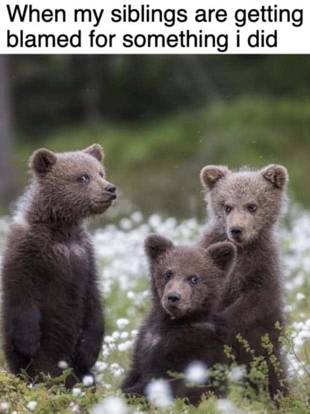 Funny Pics and Memes to Make You Laugh #142 (26 photos)