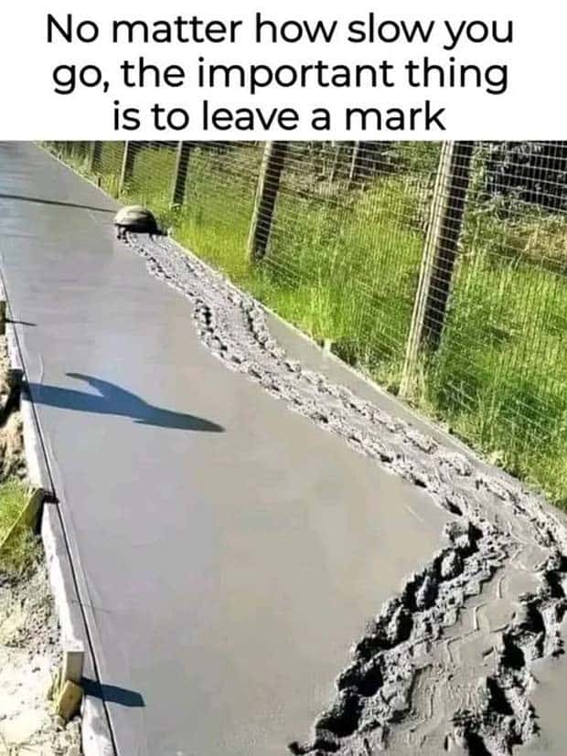 Funny Pics and Memes to Make You Laugh #142 (26 photos)