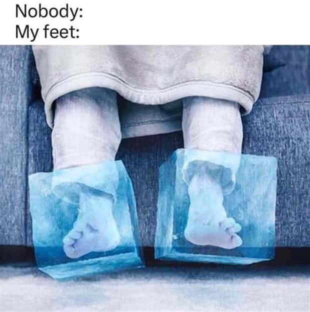 Funny Pics and Memes to Make You Laugh #144 (24 photos)