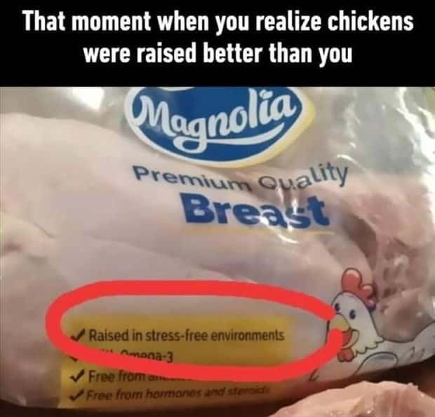 Funny Pics and Memes to Make You Laugh #144 (24 photos)