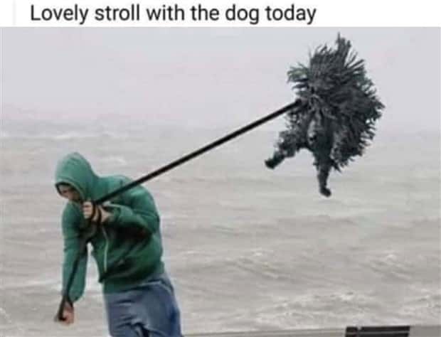 Funny Pics and Memes to Make You Laugh #141 (28 photos)